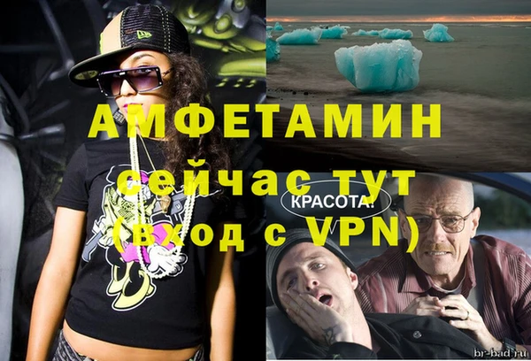 амф Верхний Тагил