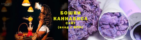 СК Бородино