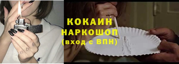 СК Бородино