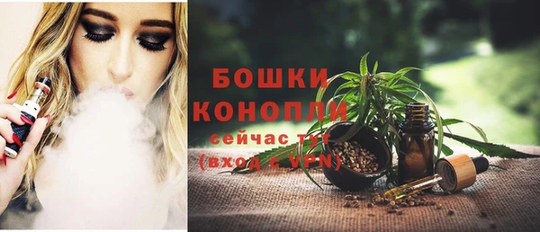 СК Бородино