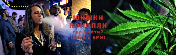 сатива Бронницы