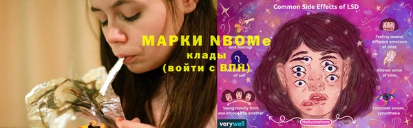сатива Бронницы