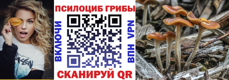 это официальный сайт  Иннополис  Псилоцибиновые грибы MAGIC MUSHROOMS 