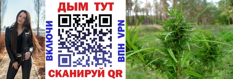 Бошки Шишки VHQ  Иннополис 